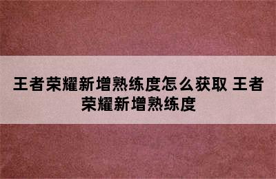 王者荣耀新增熟练度怎么获取 王者荣耀新增熟练度